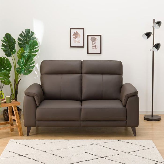2S-SOFA LB07 LEATHER DBR