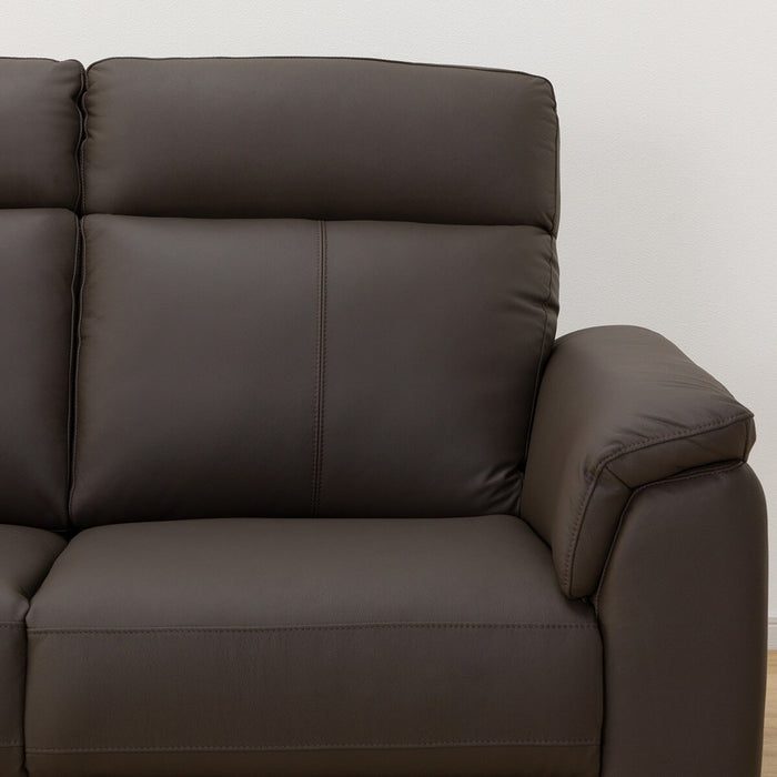 2S-SOFA LB07 LEATHER DBR