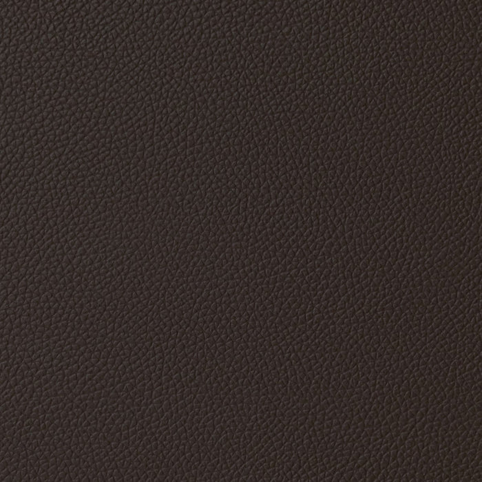 2S-SOFA LB07 LEATHER DBR