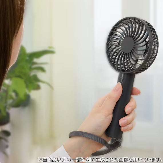 RECHARGEABLE HANDY FAN HF317-DGY
