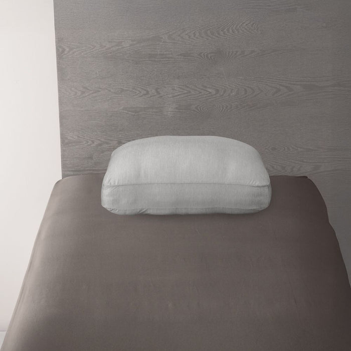 N COOL EXTREME COLD CONTAINS BEADS FLUFFY PILLOW P2571