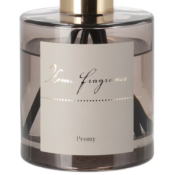 AROMA DIFFUSER 160MG2 MO 2312NS7