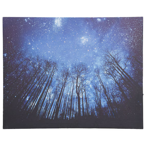 LED CANVAS POSTER ZF01