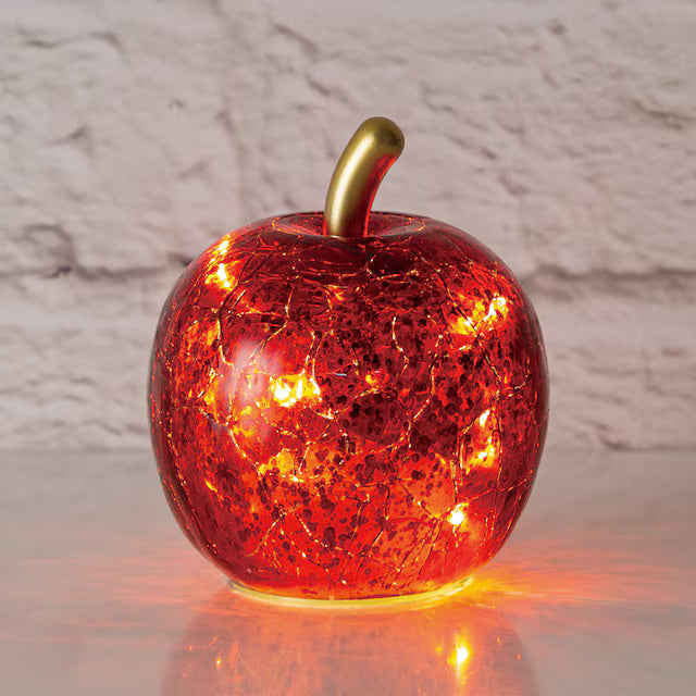 CHRISTMAS LED LIGHT APPLE RED RW-W2107 N4RW
