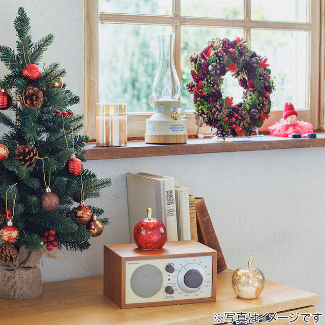CHRISTMAS LED LIGHT APPLE RED RW-W2107 N4RW