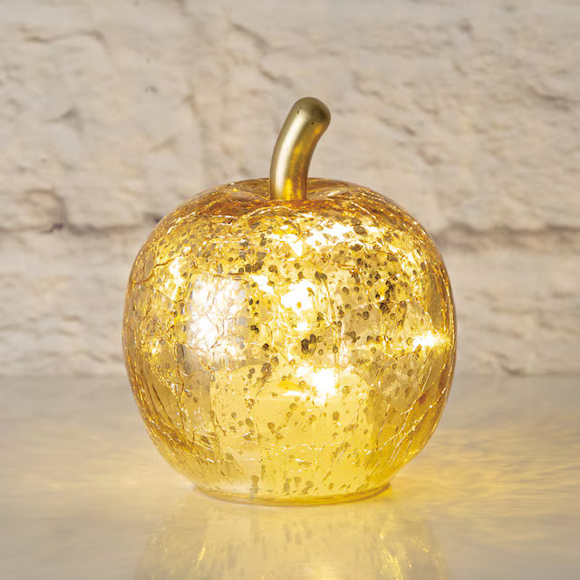 CHRISTMAS LED LIGHT APPLE GOLD RW-W2108 N4RW