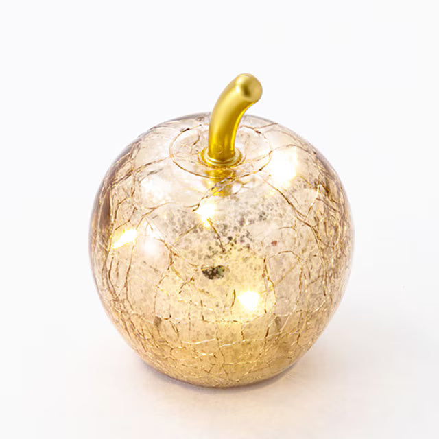 CHRISTMAS LED LIGHT APPLE GOLD RW-W2108 N4RW