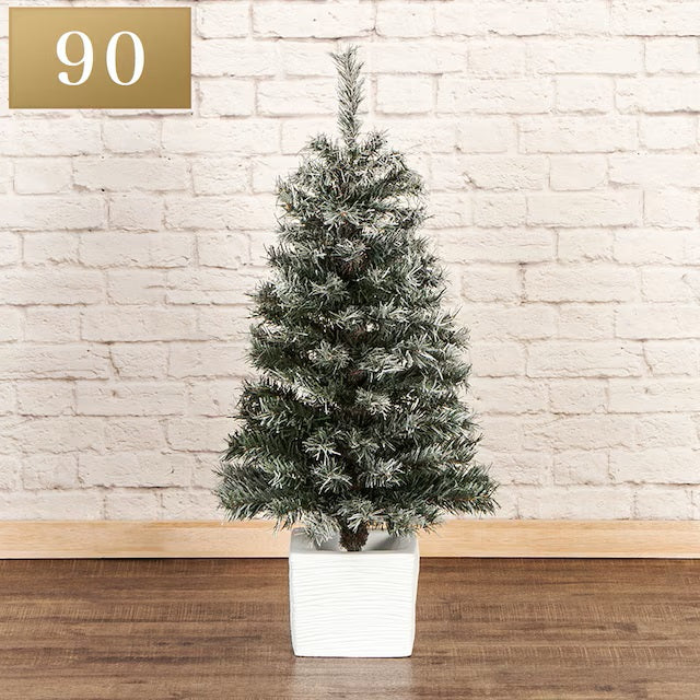 CHRISTMAS TREE TCA23-011 N4GW