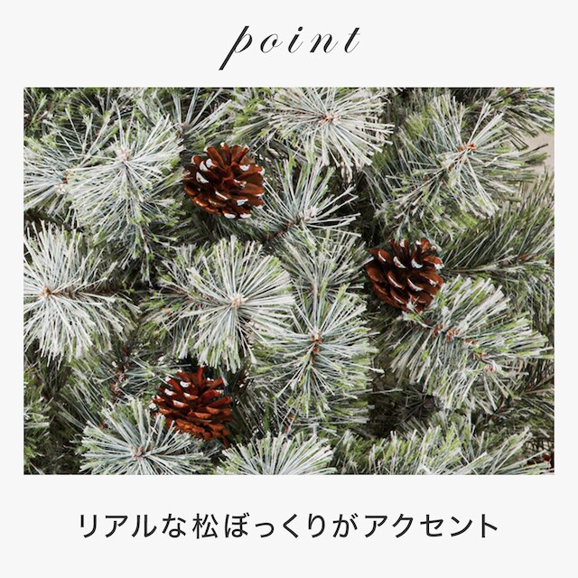 CHRISTMAS TREE TXN23-029-K 210CM N4GW