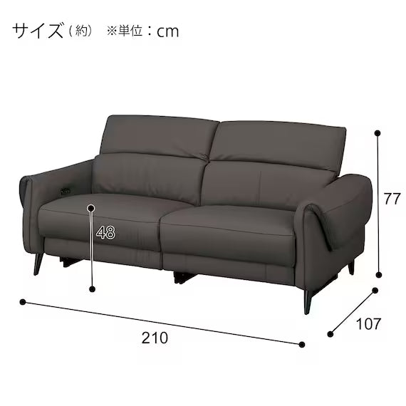 ELECTRIC 3P SOFA LS04 NW DGY