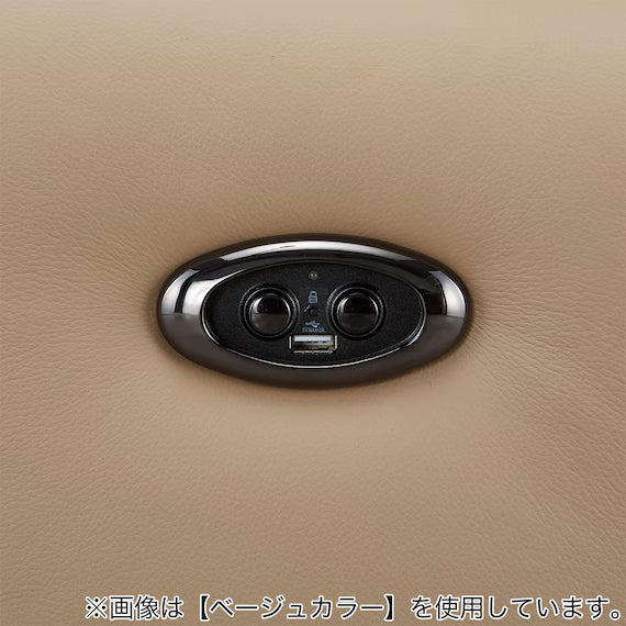 ELECTRIC 3P SOFA LS05 NW DGR