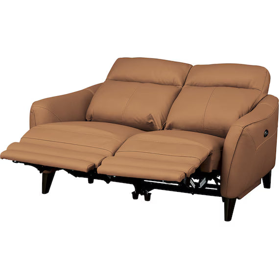 ELECTRIC 2P SOFA LS06 NW BR