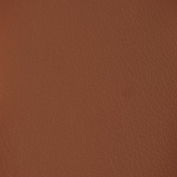 ELECTRIC 2P SOFA LS06 NW BR