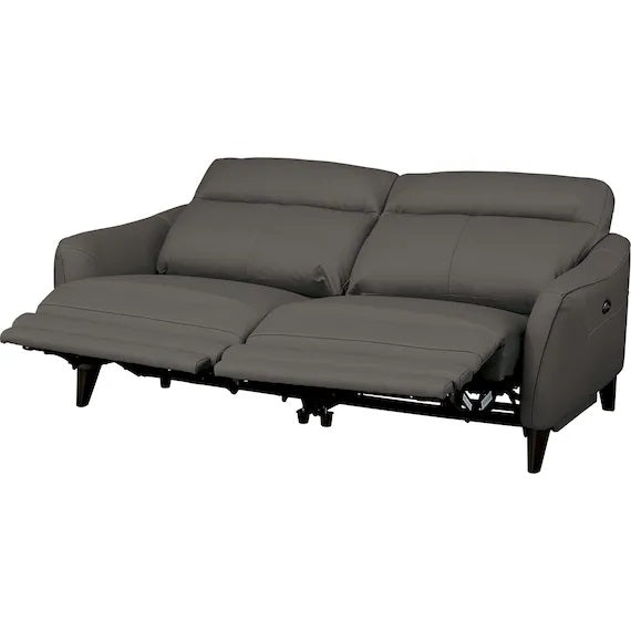 ELECTRIC 3P SOFA LS06 NW DGY