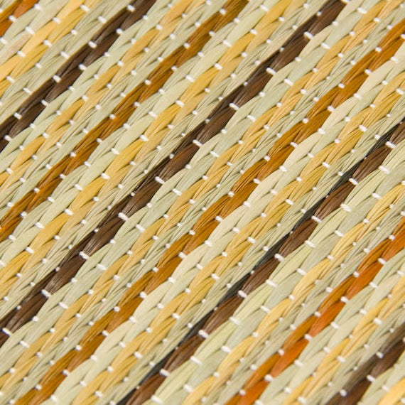 IGUSA UWAJIKI NHODAKA 2J