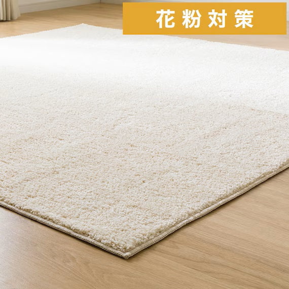SHAGGY RUG 200X240 BE SR002