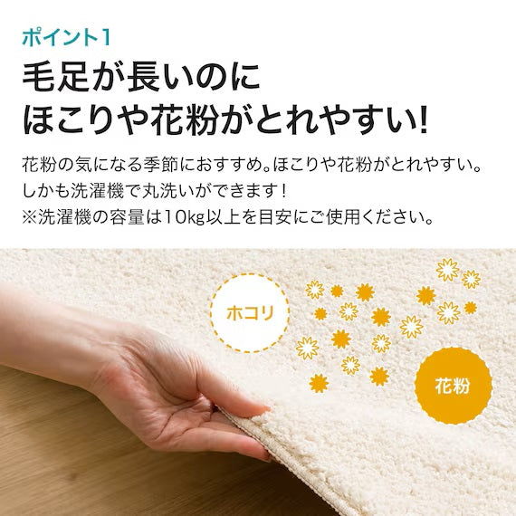 SHAGGY RUG 200X240 BE SR002