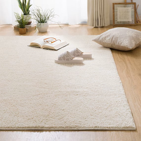 SHAGGY RUG 200X240 BE SR002