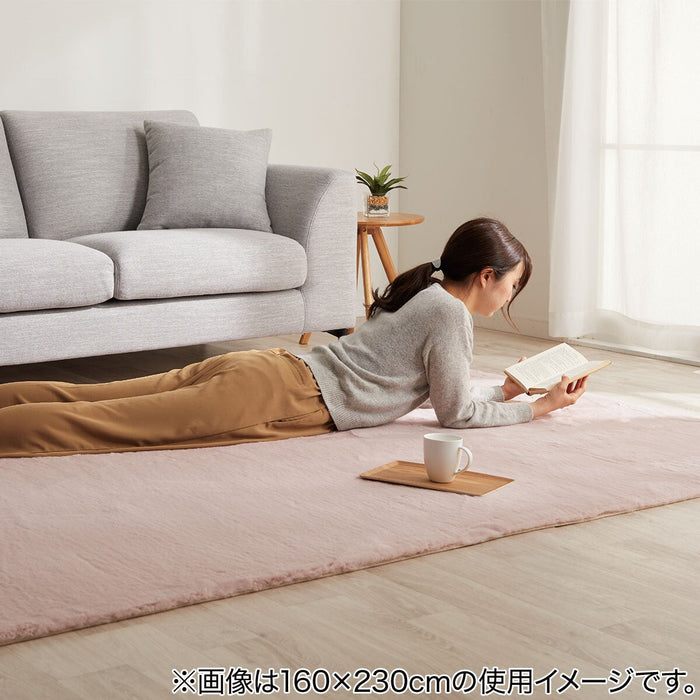 USAGI RUG 3 140X200 RO US04