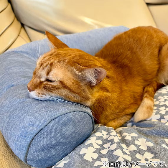 PET MAT N-COOL M-SQUARE S241