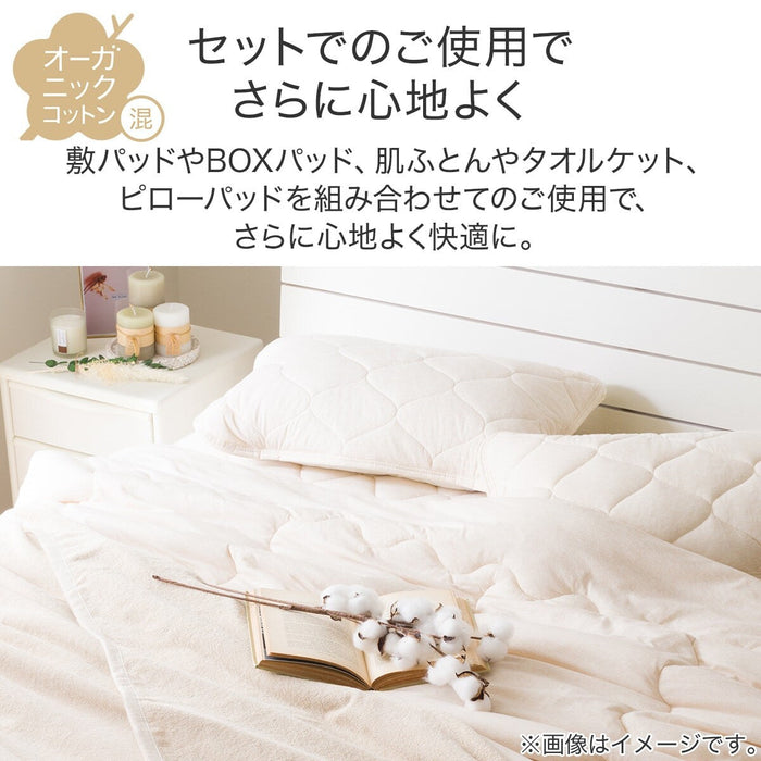 BLANKET ORGANIC COTTON S GY T01