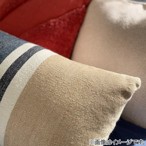 ACCENT CUSHION COVER ANM020