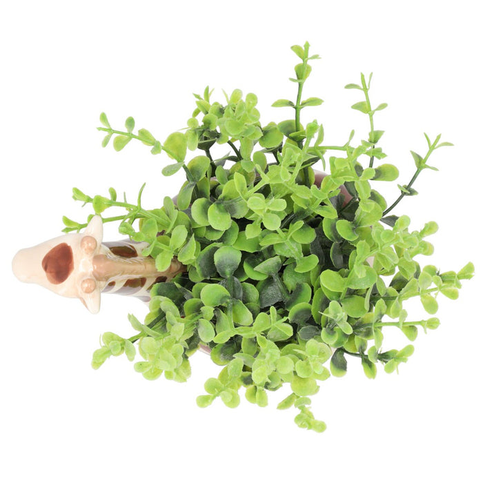 OREGANO IN ANIMAL POT GIRAFFE