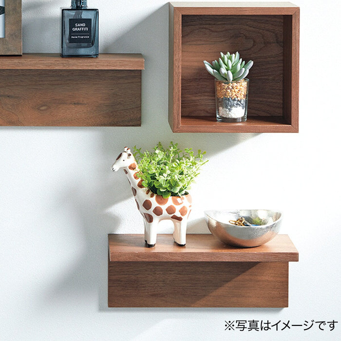 OREGANO IN ANIMAL POT GIRAFFE