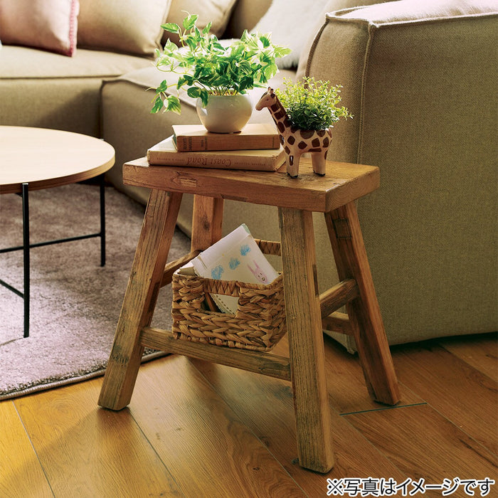 OREGANO IN ANIMAL POT GIRAFFE