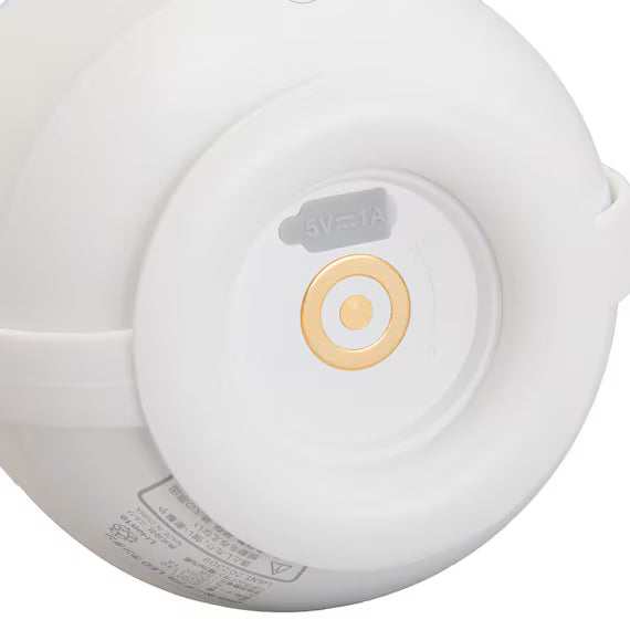 LED PORTABLE LANTERN ST001