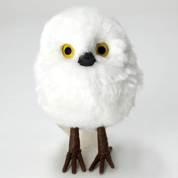 STANDING OWL M N2RC