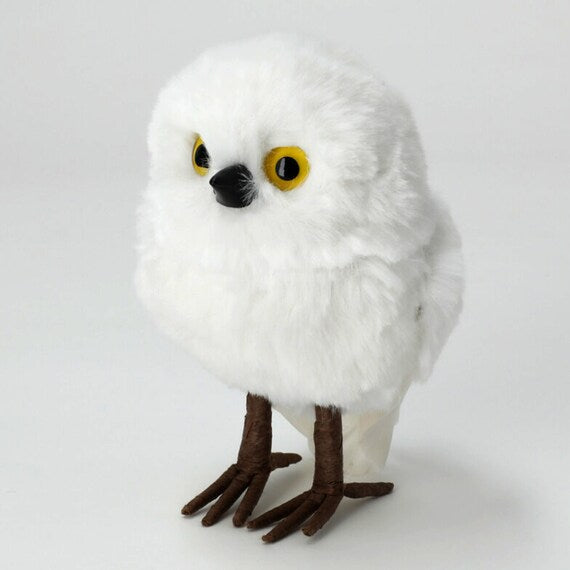 STANDING OWL M N2RC