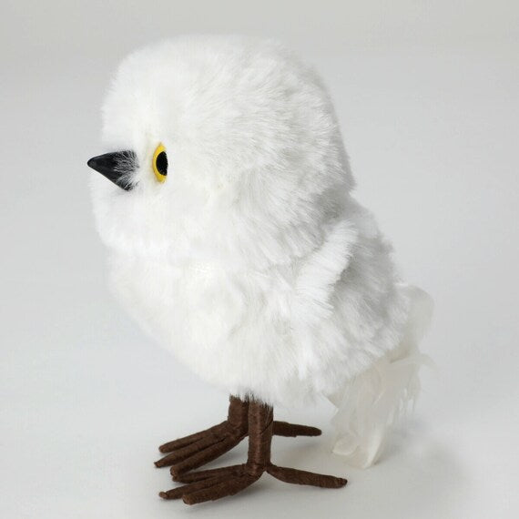 STANDING OWL M N2RC