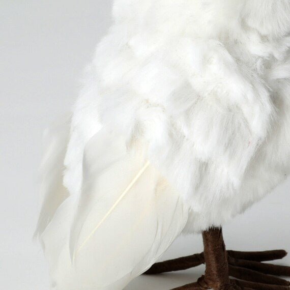 STANDING OWL M N2RC