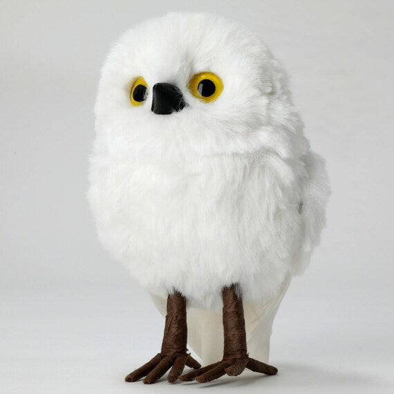 STANDING OWL M N2RC