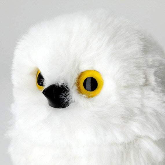 STANDING OWL M N2RC
