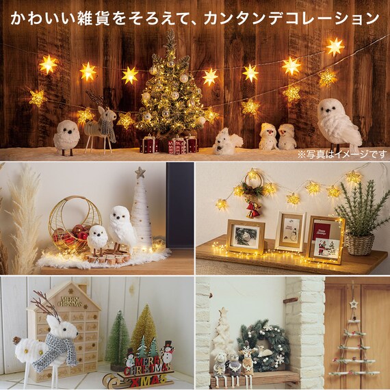 STANDING OWL M N2RC