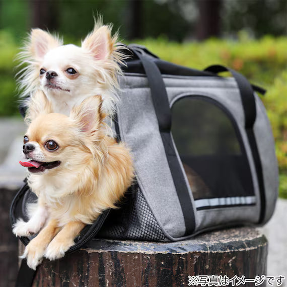 PET CARRY BT-P010