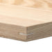 Non-Slip Tray  S