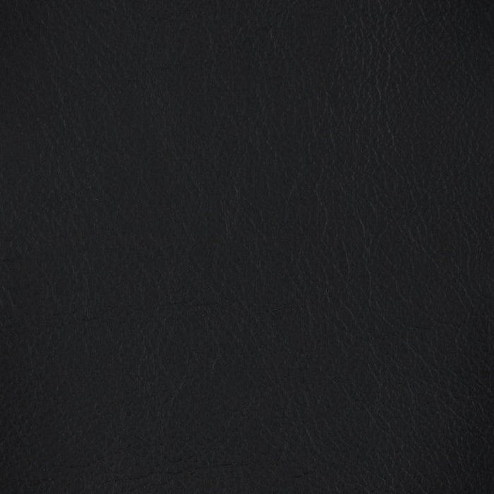 ELECTRIC 2P SOFA LS04 NW BK