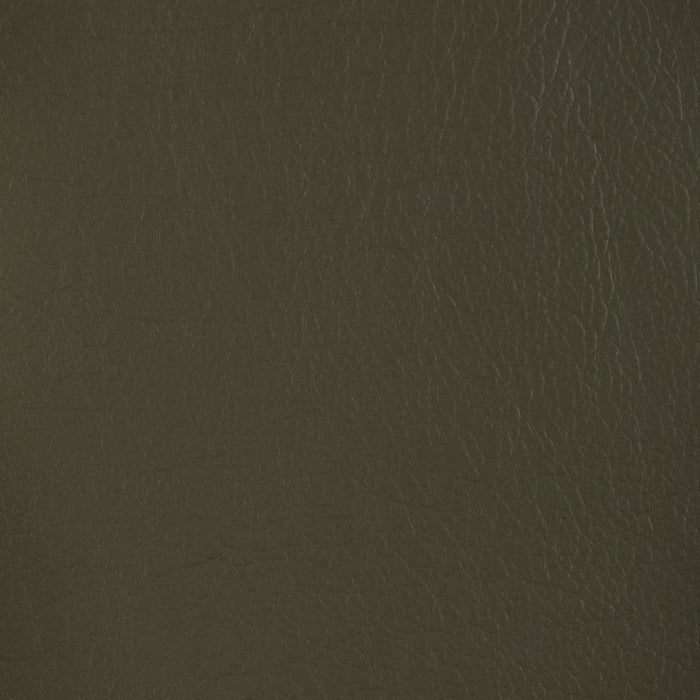 ELECTRIC 2P SOFA LS04 NW DGR