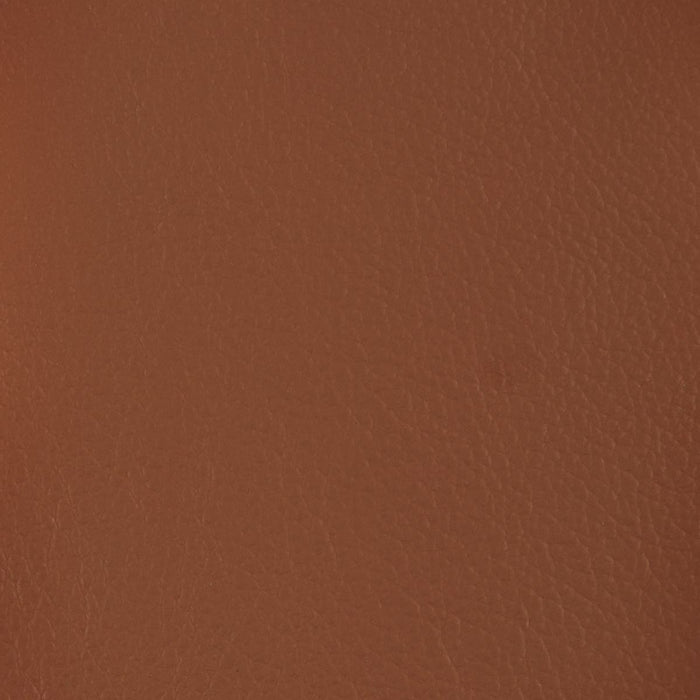 ELECTRIC 2P SOFA LS05 NW BR