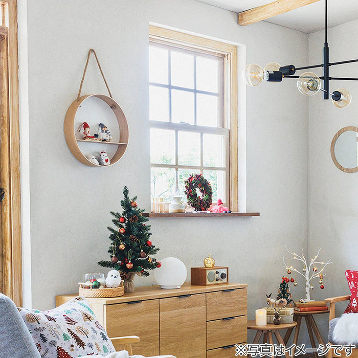 CHRISTMAS ORNAMENT CB-21591A N4GL