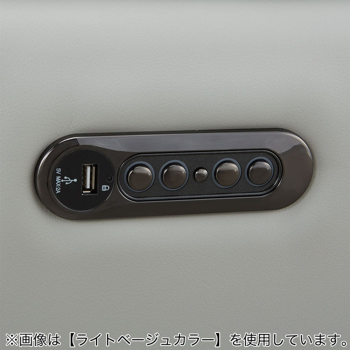 2M ELECTRIC 3P SOFA LS02 NW BR