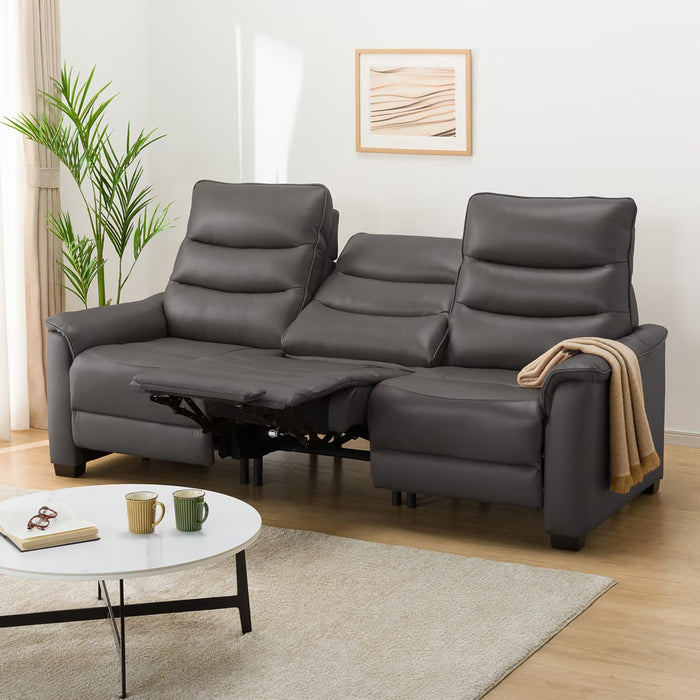 3 ELECTRIC 3P SOFA N-BELIEVA 3 TK-LEATHER DGY