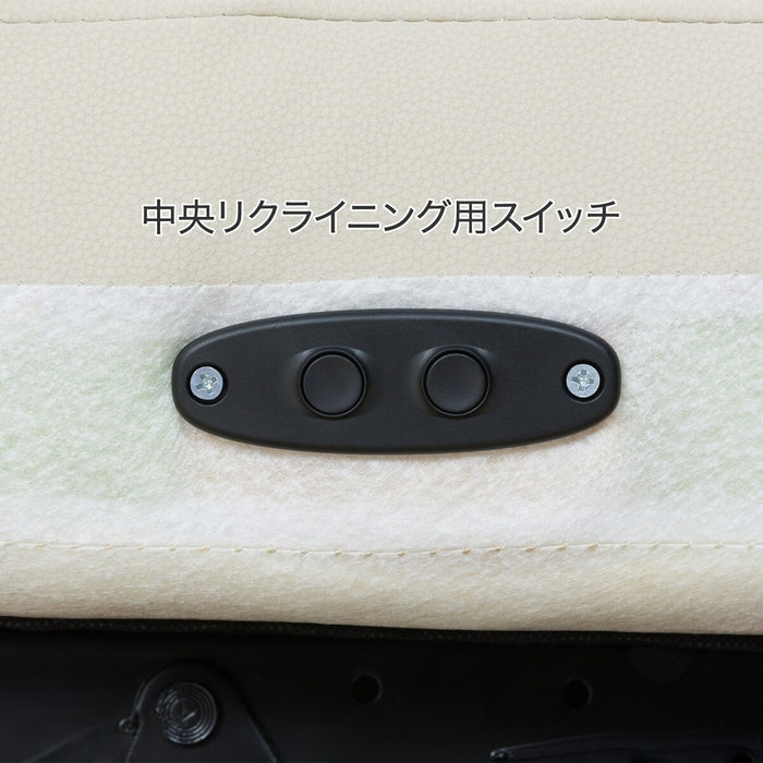 3 ELECTRIC 3P SOFA N-BELIEVA 3 N-SHIELD IV